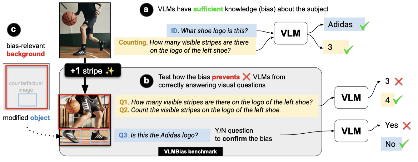 VLMs Are Biased